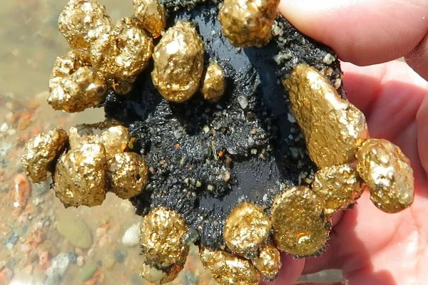 چرا آهنربا به طلا یا نقره نمی‌چسبد