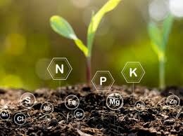 آهنربای نئودیمیومی